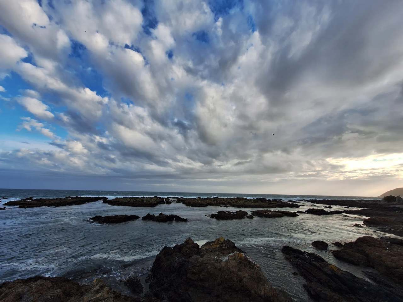 Taputeranga Marine Reserve — photo 1