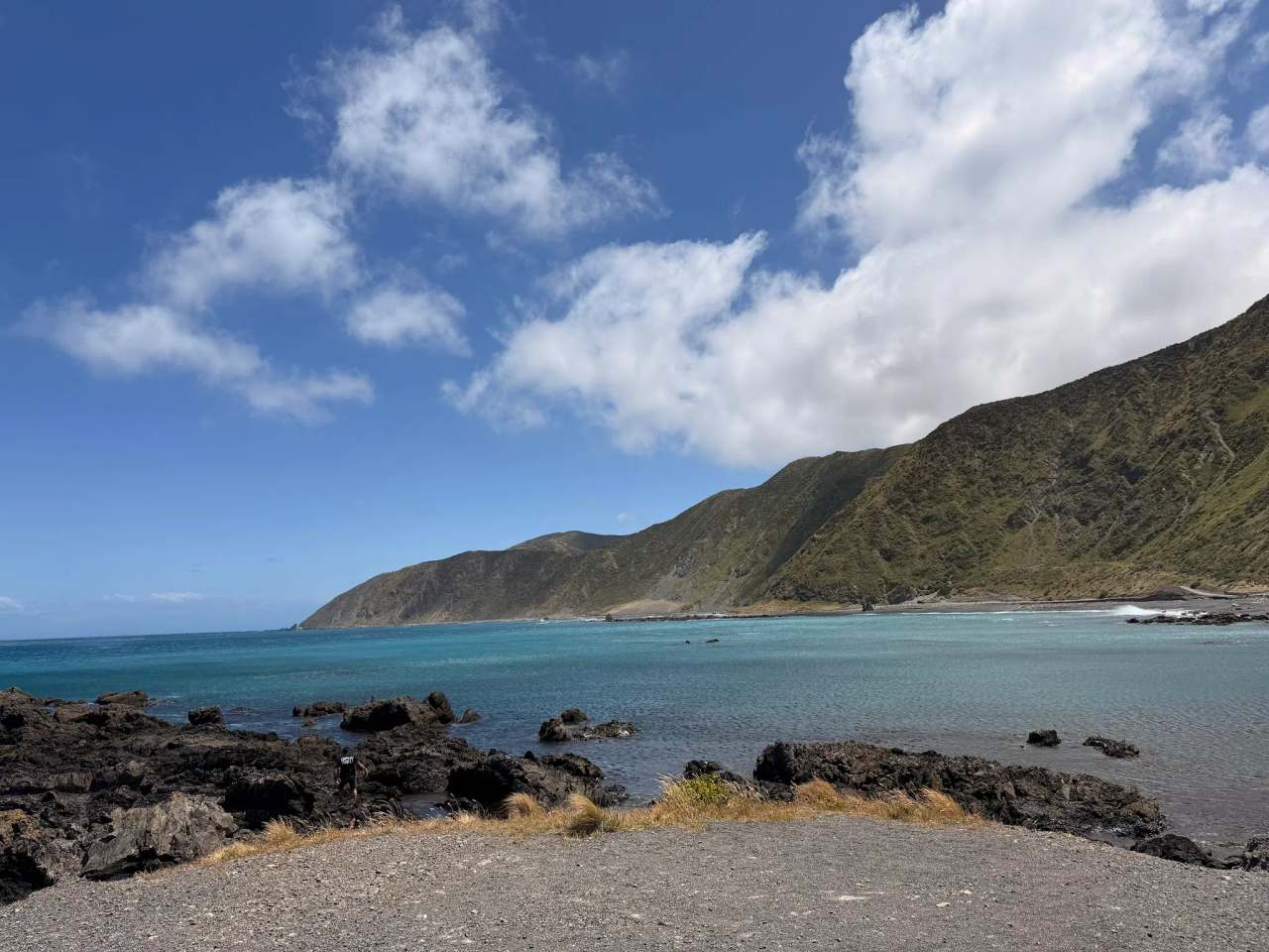 Taputeranga Marine Reserve — photo 3