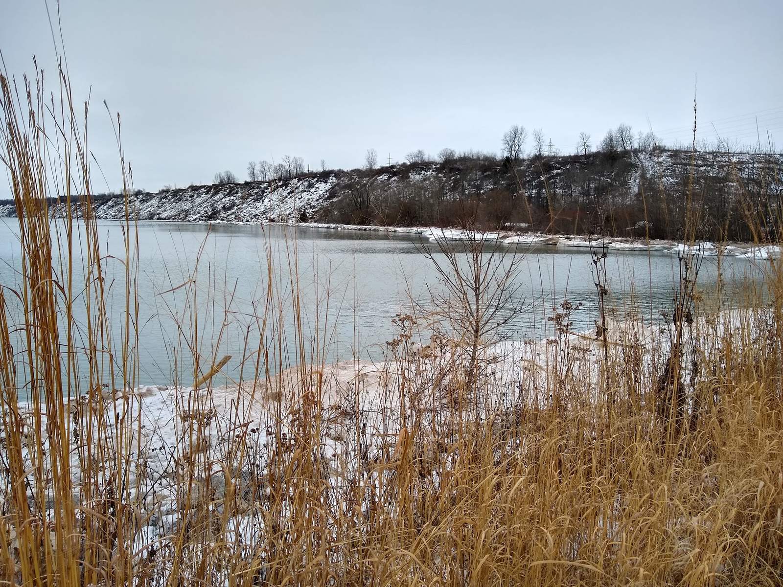 Port Washington Avian Sanctuary — photo 1