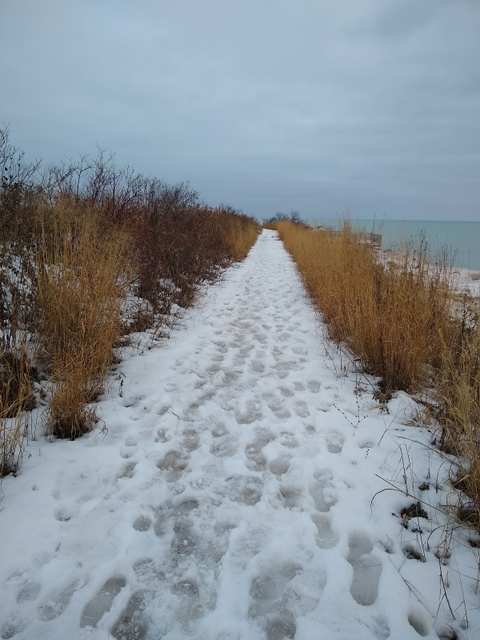 Port Washington Avian Sanctuary — photo 2