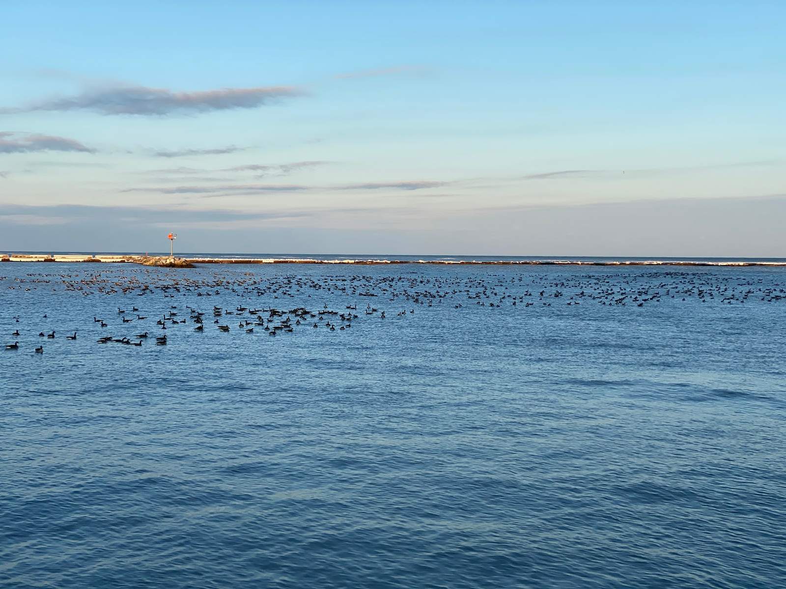 Port Washington Avian Sanctuary — photo 4