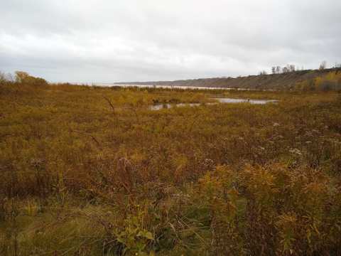 Port Washington Avian Sanctuary — photo 5