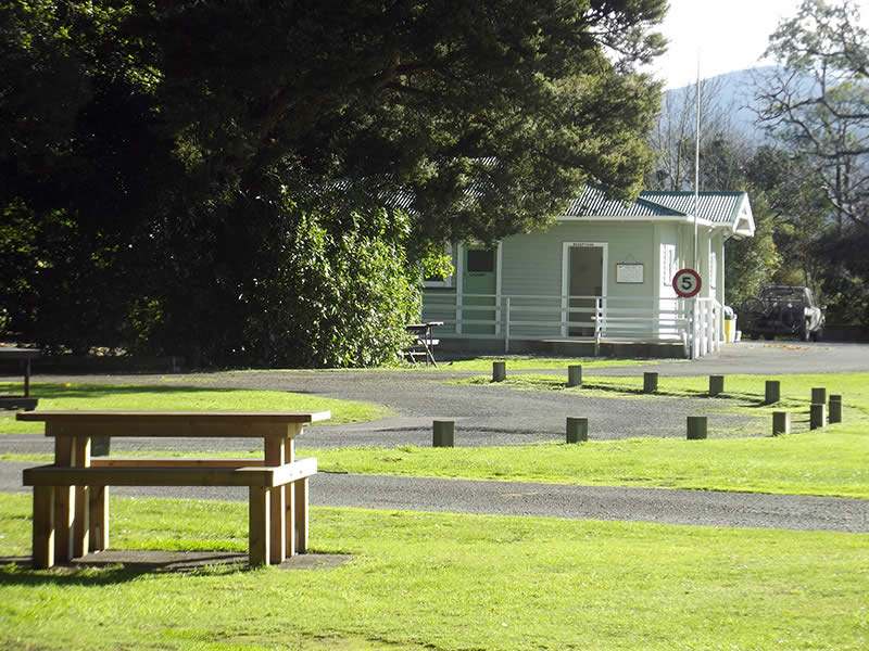 Greytown Campground — photo 3