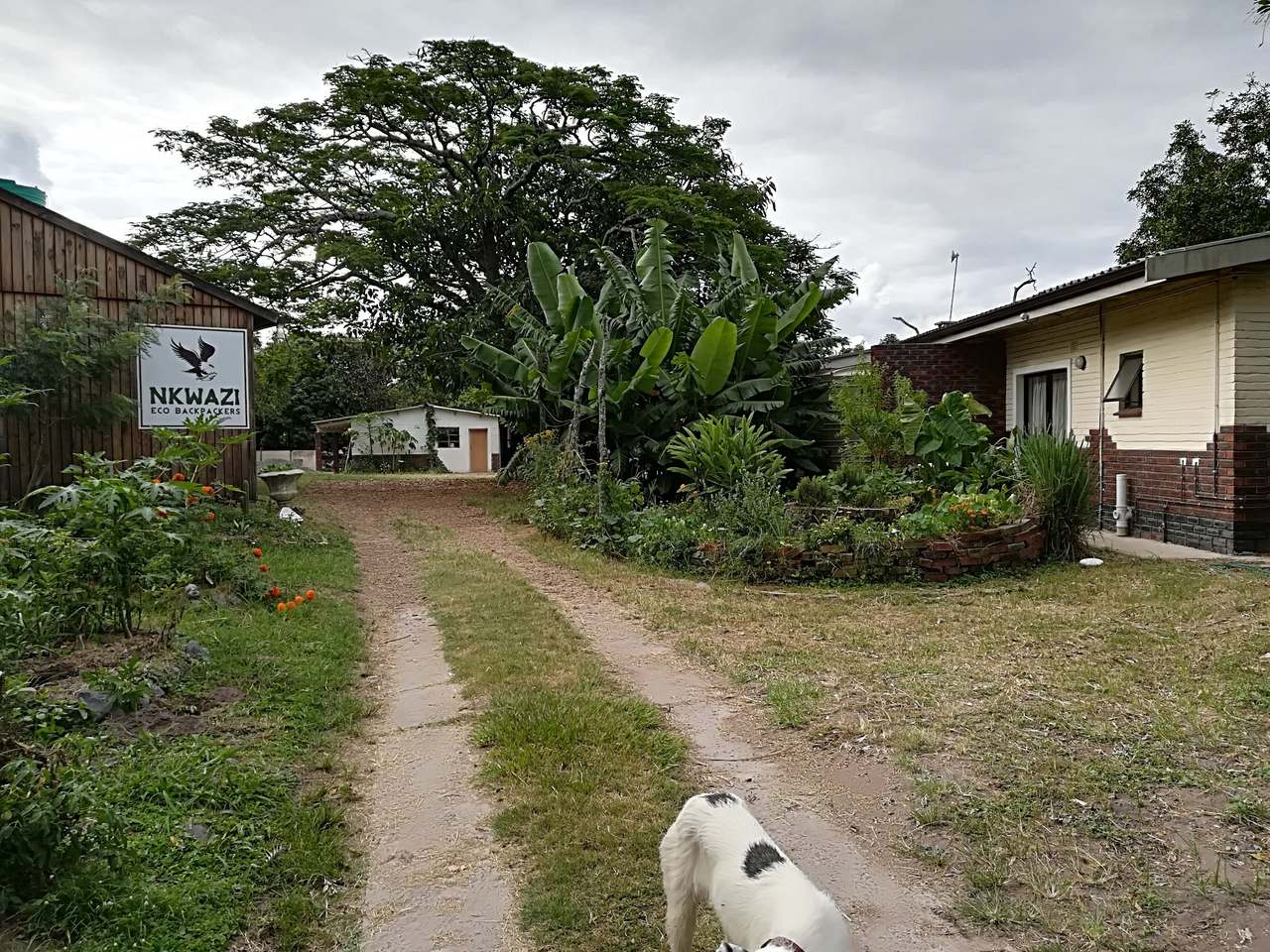 Nkwazi Eco Backpackers — photo 1