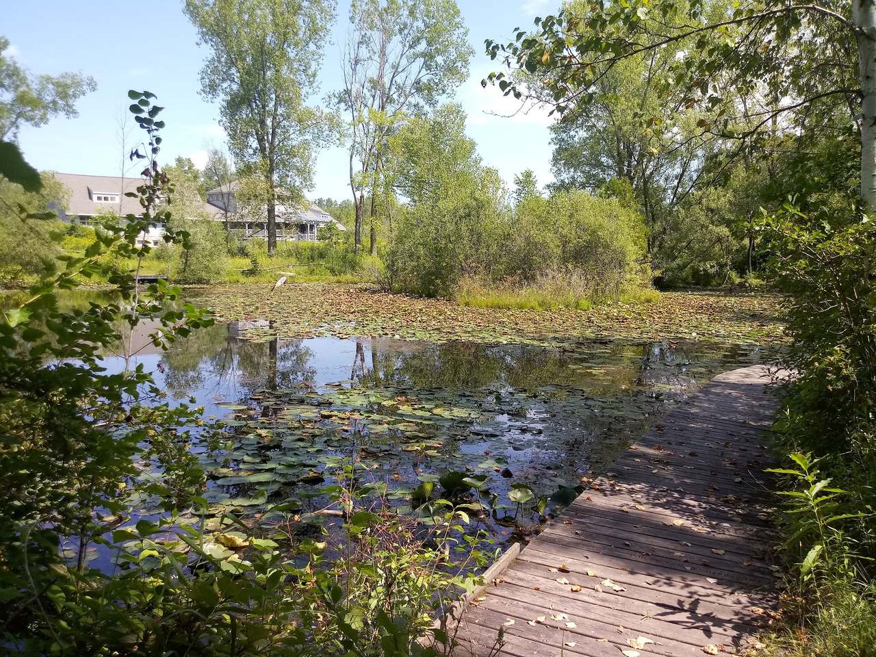 Riveredge Nature Center — photo 4