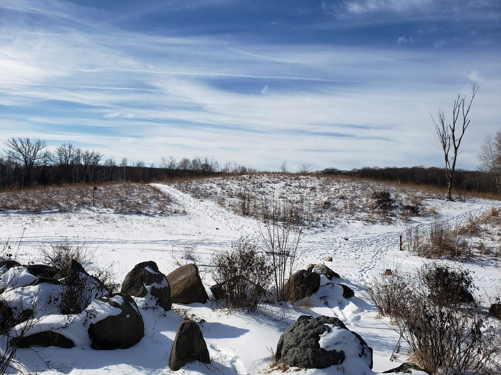 Riveredge Nature Center — photo 6