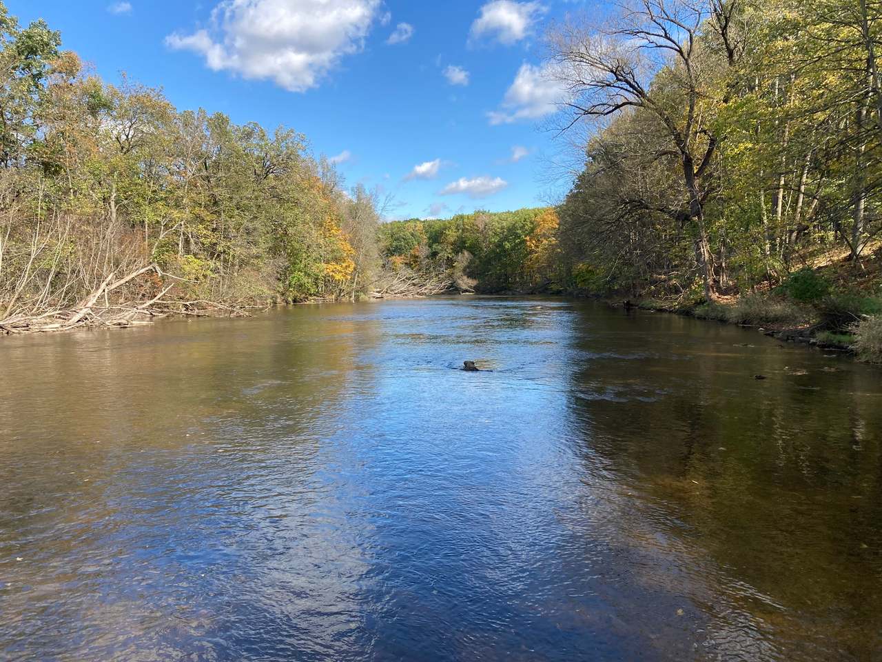 Riveredge Nature Center — photo 8