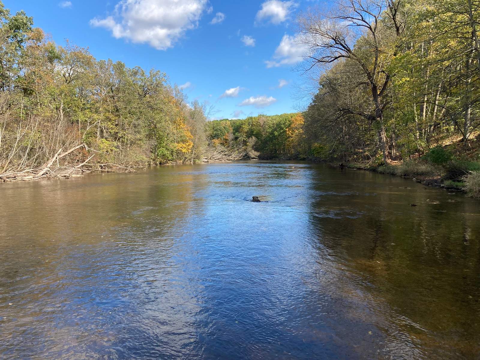 Riveredge Nature Center — photo 8