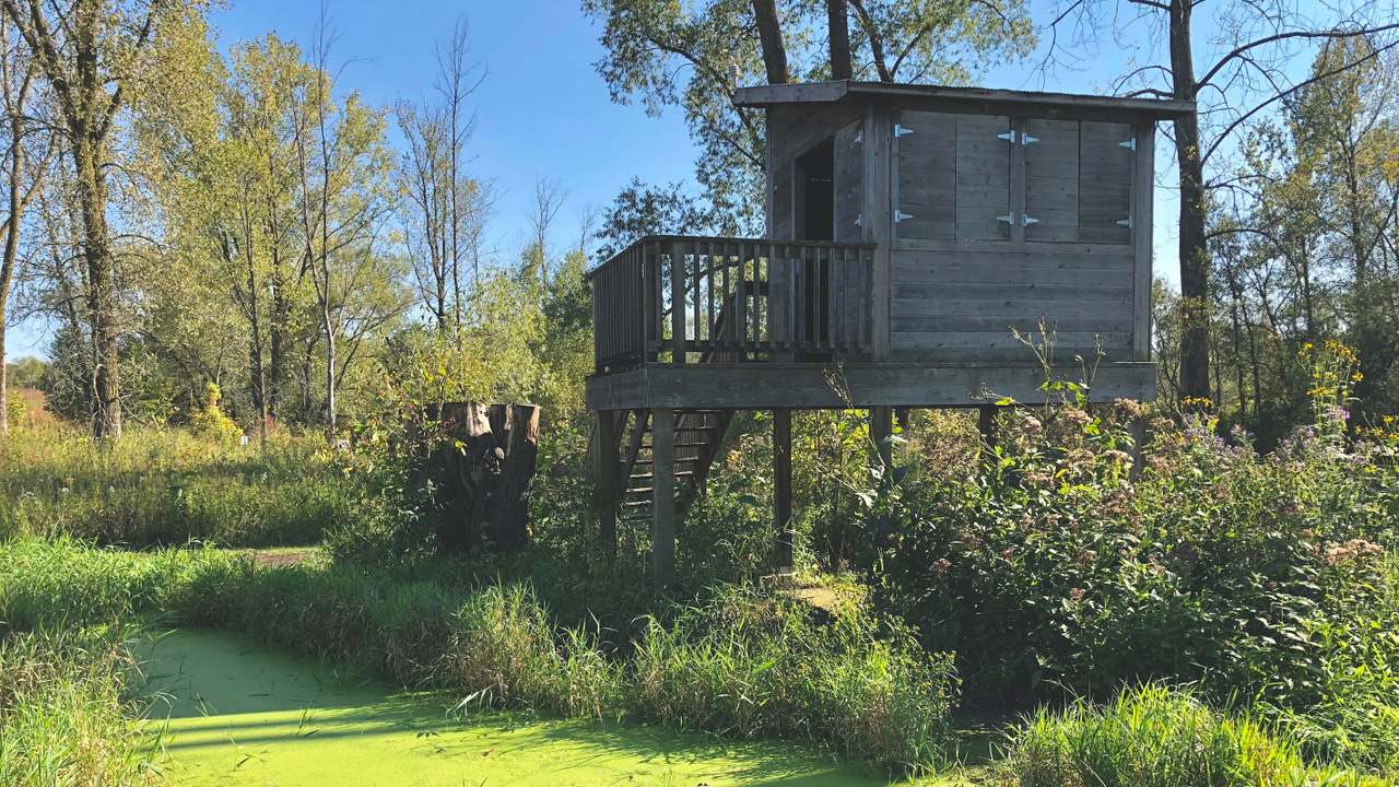 Riveredge Nature Center — photo 9