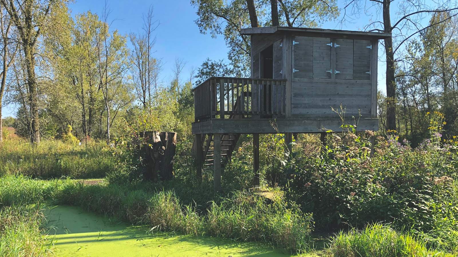 Riveredge Nature Center — photo 9