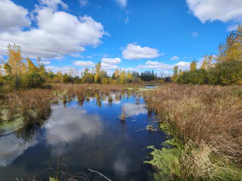 Mequon Nature Preserve — photo 5