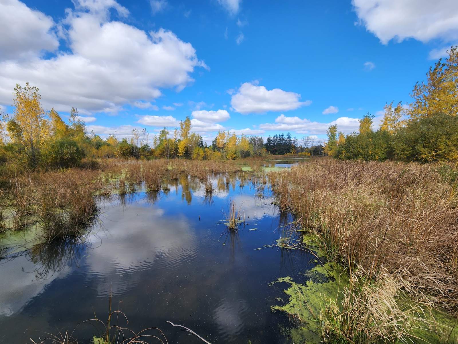 Mequon Nature Preserve — photo 5
