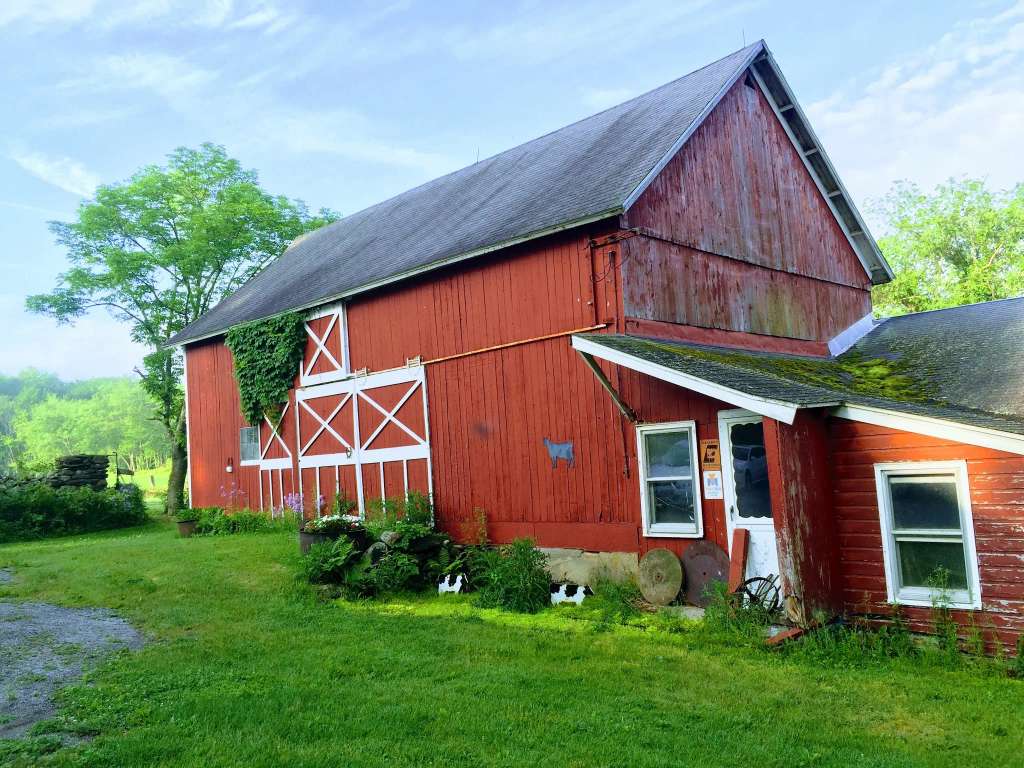 Constitution Oak Farm
