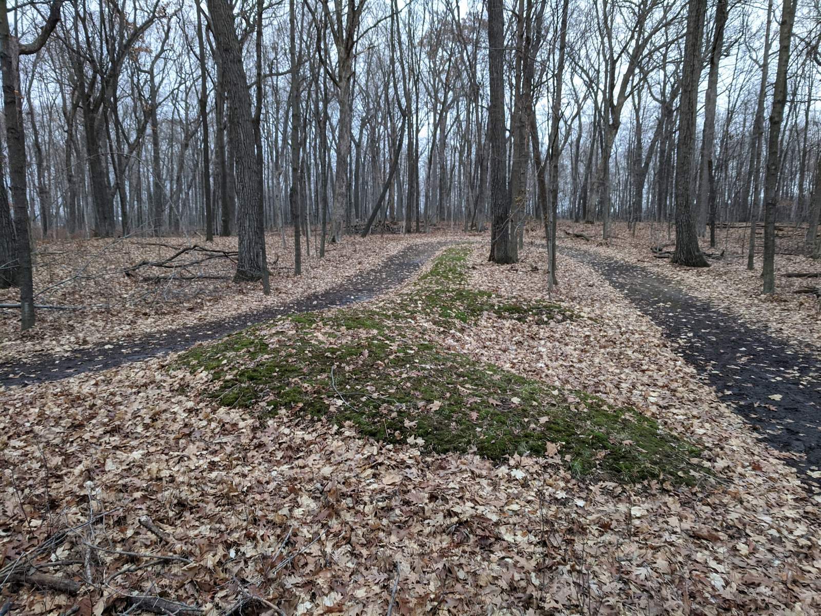Lizard Mound State Park — photo 3