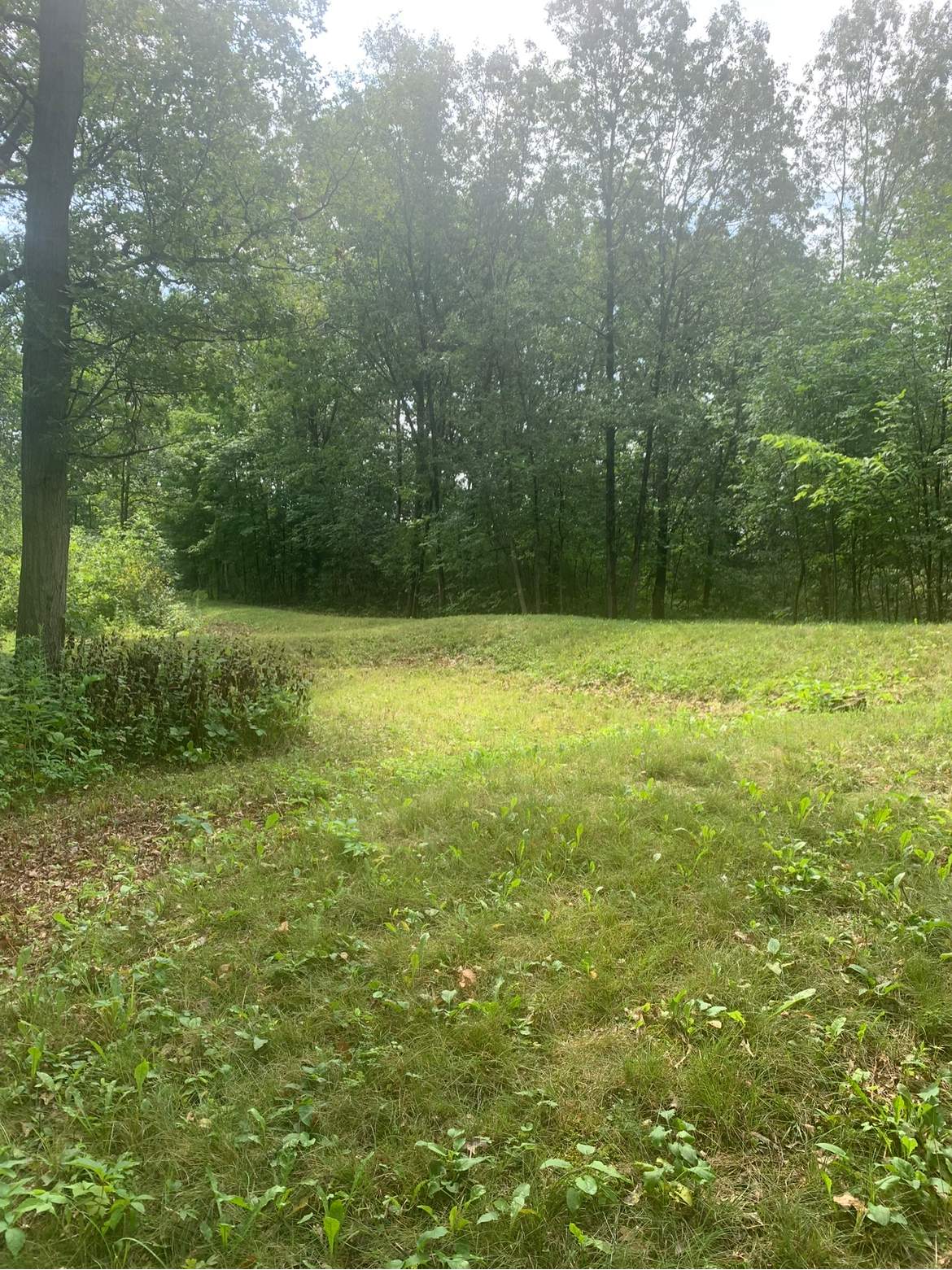 Lizard Mound State Park — photo 4