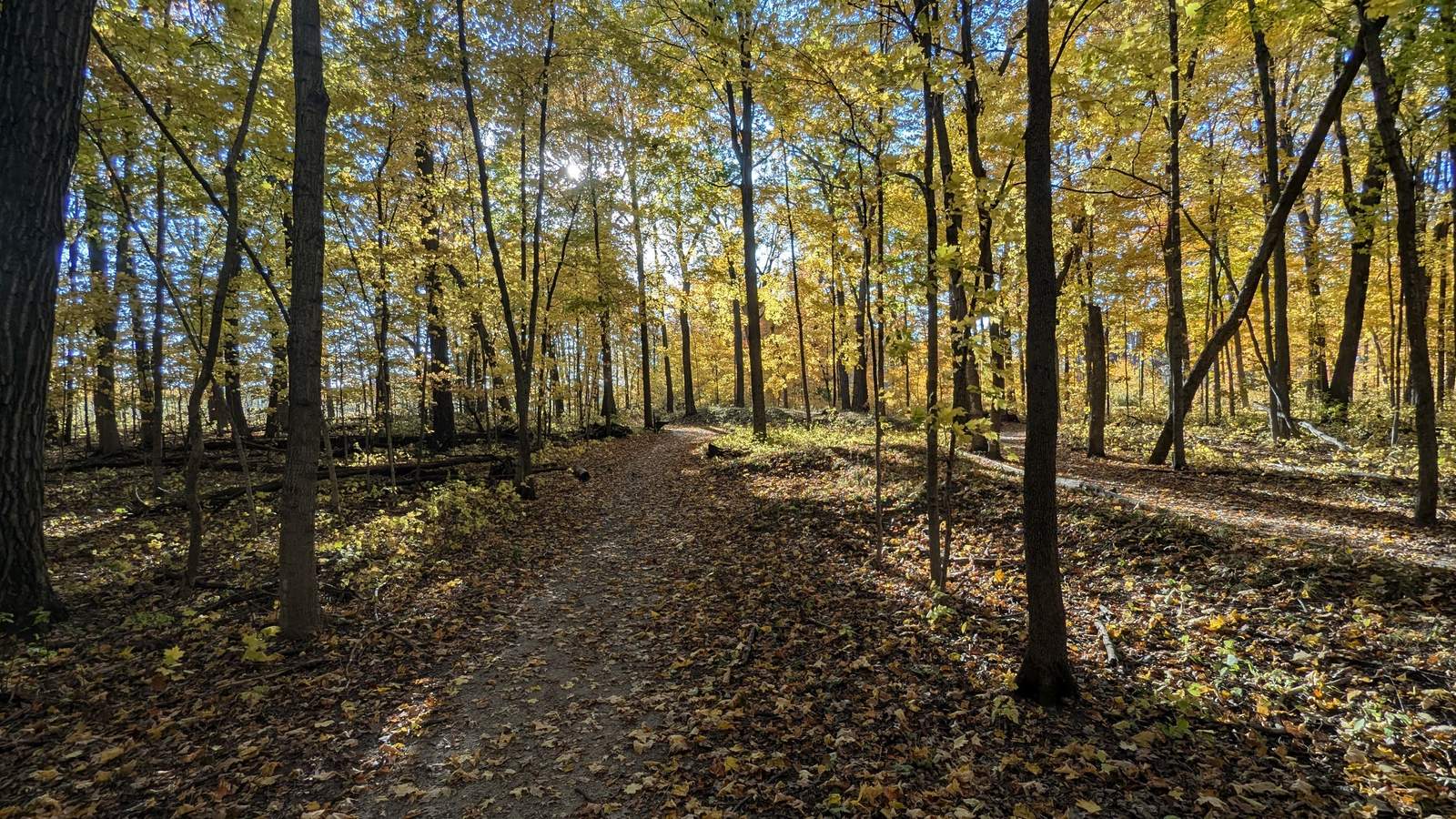 Lizard Mound State Park — photo 5