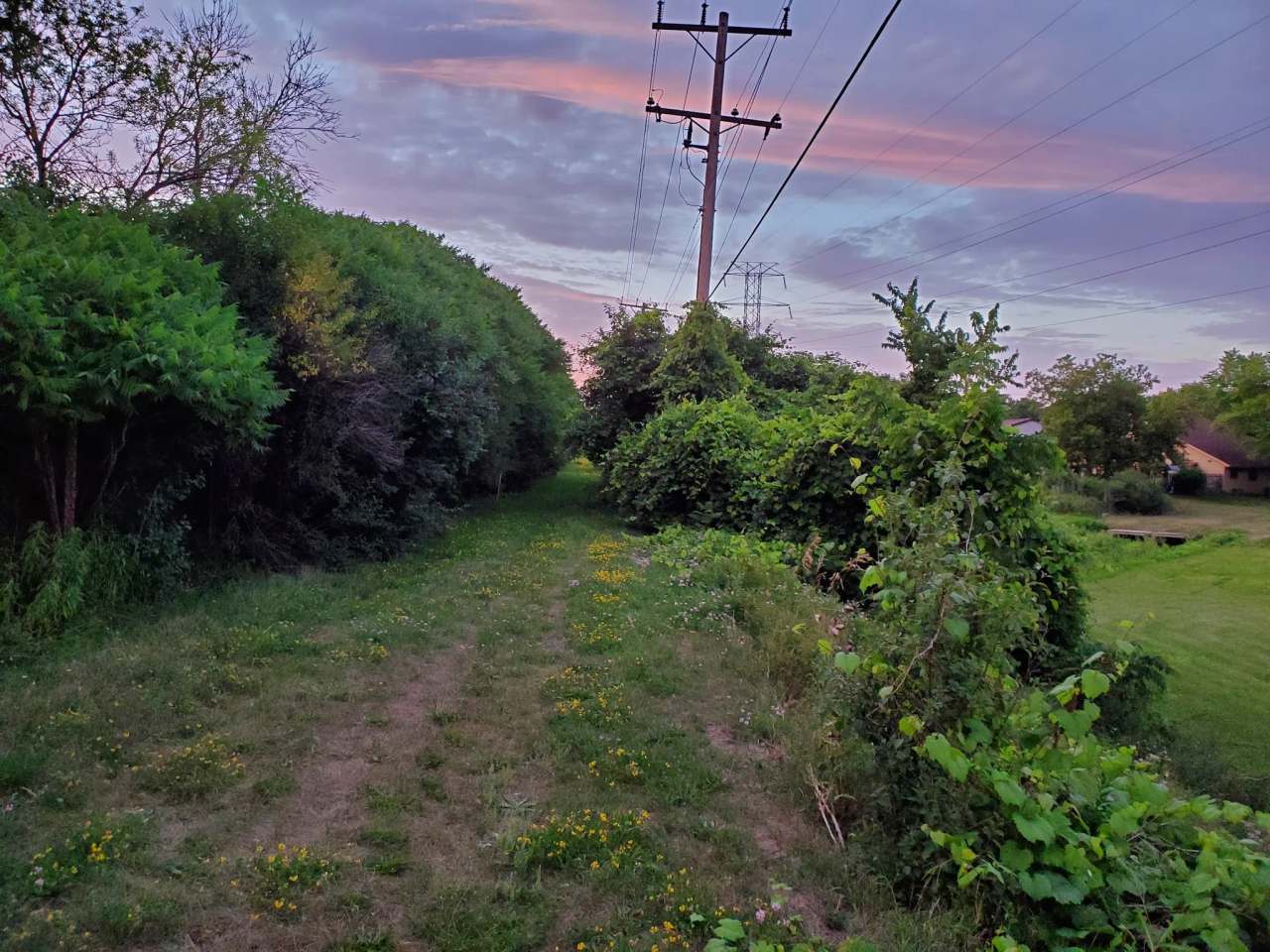 The Powerline Trail (trailhead 1 eastbound) — photo 1
