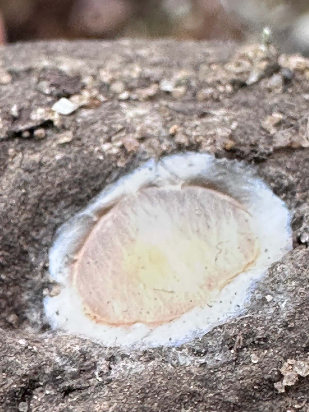 IAT Parking Milwaukee River Segment — photo 10