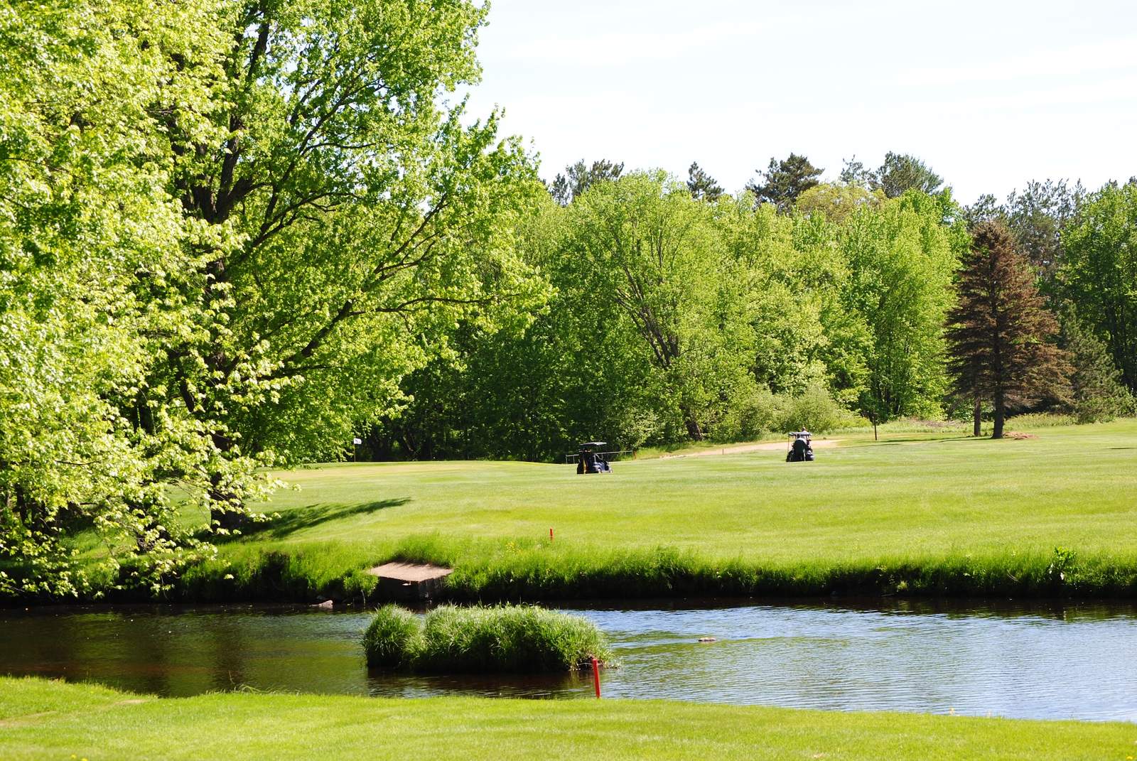 X to C's Riverview Golf Course — photo 1