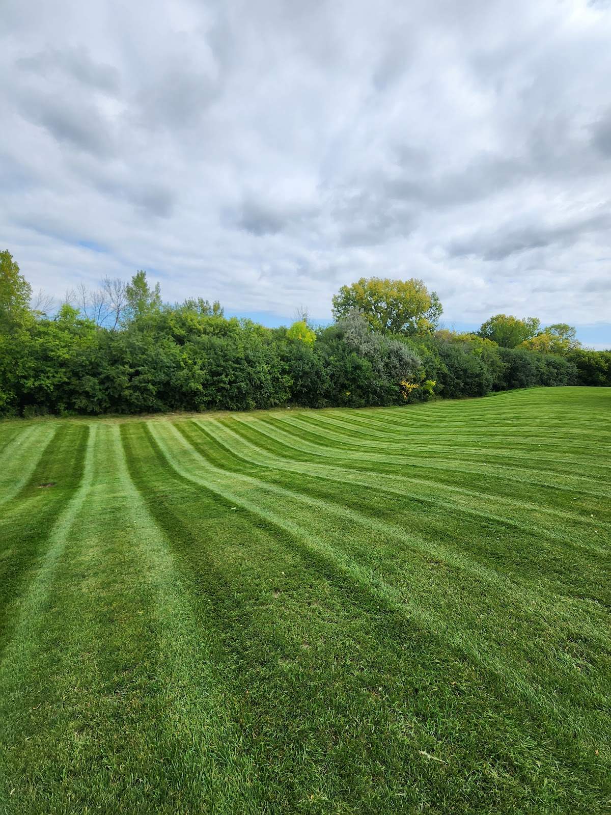 Quality Landscape and Lawn Care — photo 3
