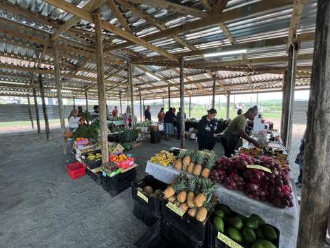 Ballito Farmers Market — photo 2