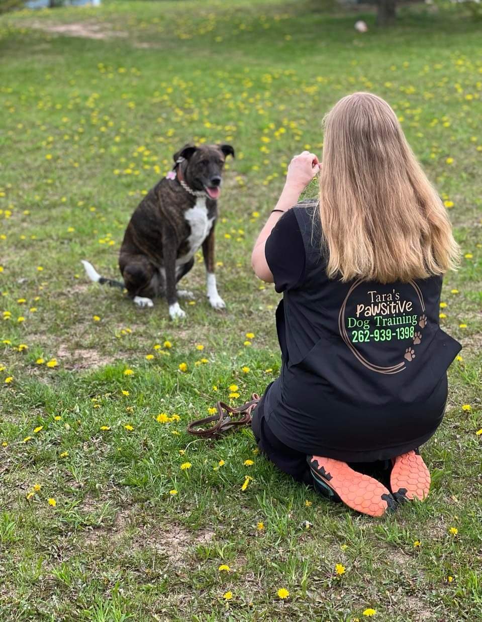 Tara's Pawsitive Dog Training, LLC — photo 1