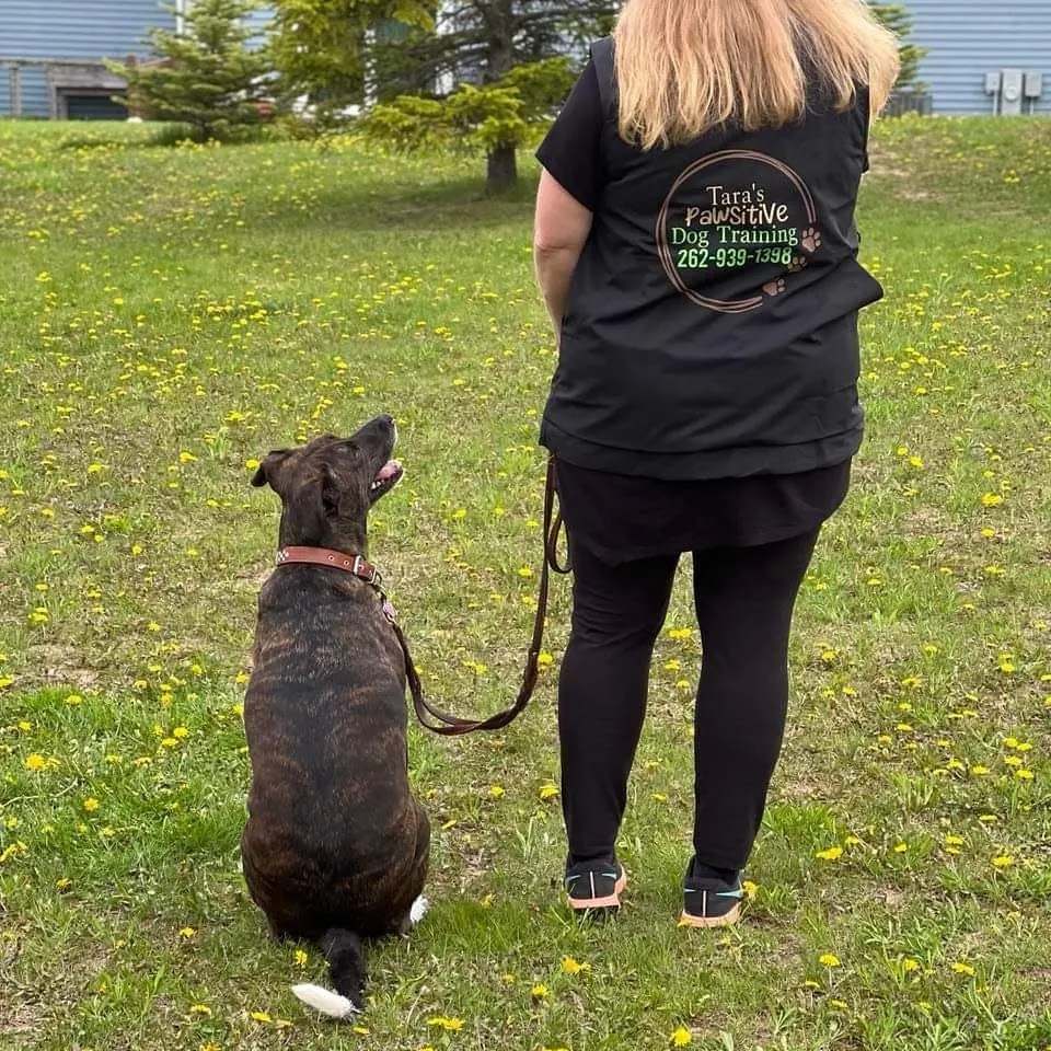 Tara's Pawsitive Dog Training, LLC — photo 3
