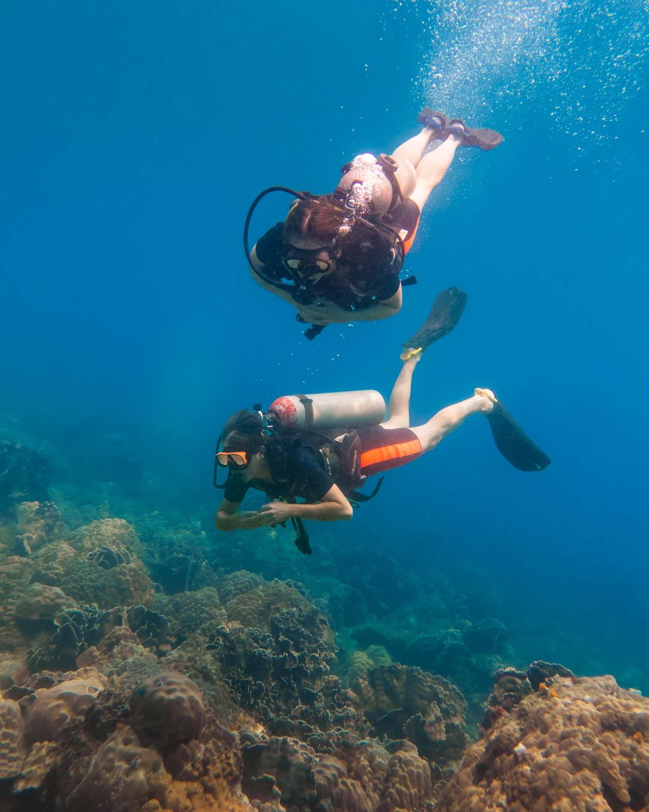 bb divers koh kood บีบี ไดเวอร์ส เกาะกูด — photo 2