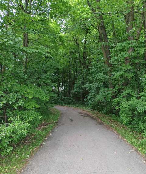 Gregg Preserve — photo 3