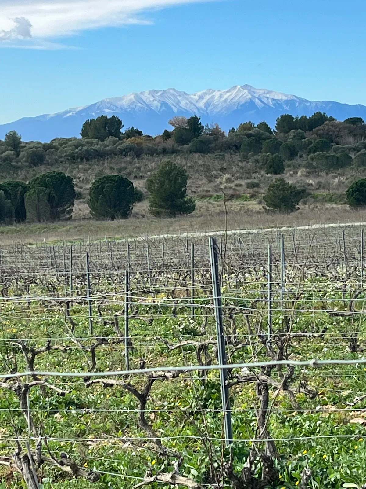 Domaine RousdeLlaro — photo 1