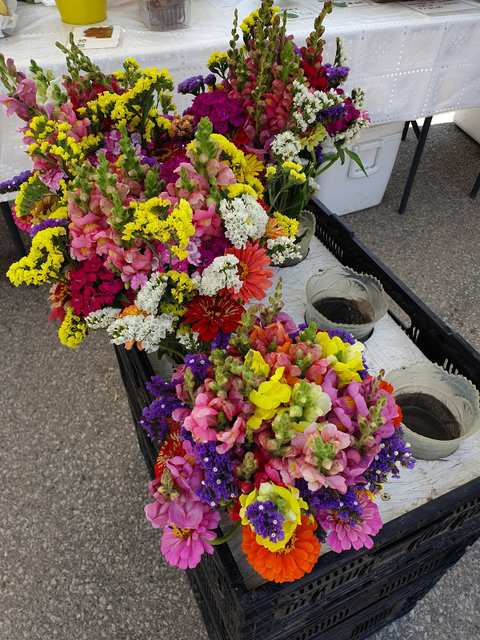 Thiensville Village Market — photo 4