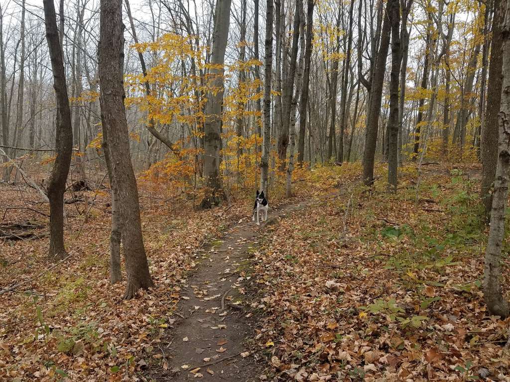 Pleasant Valley Nature Park