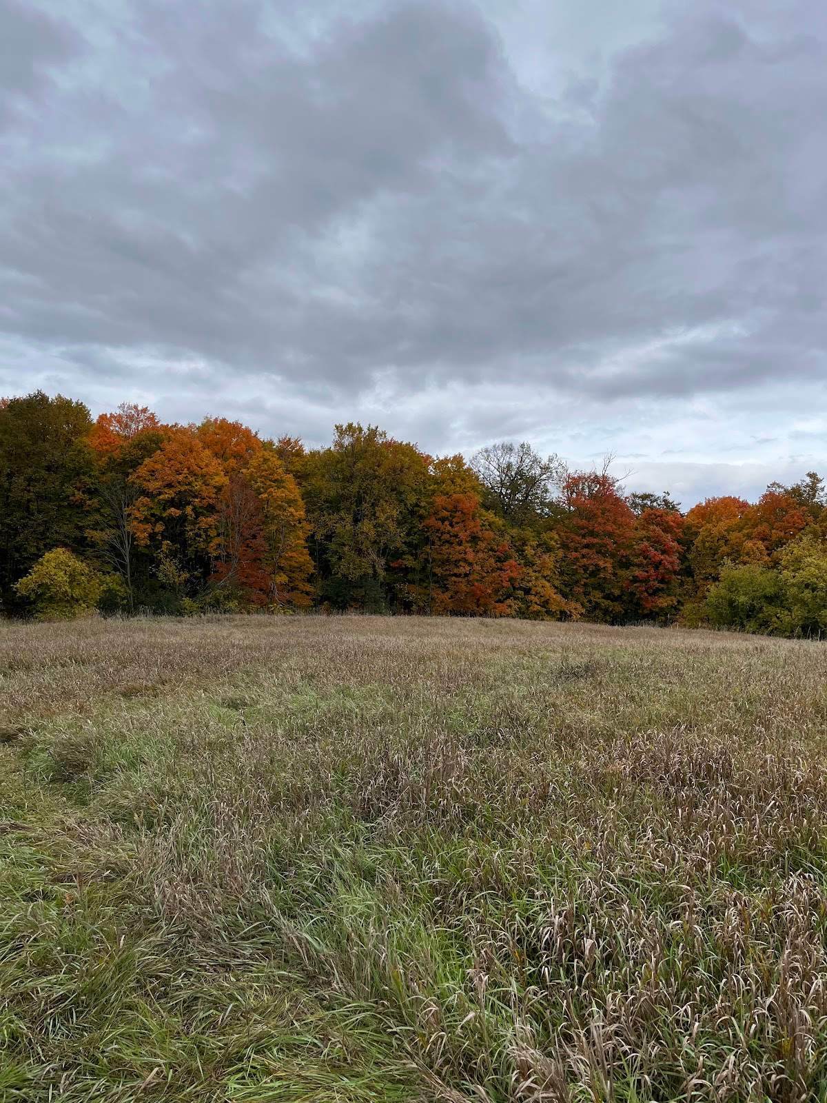 Pleasant Valley Nature Park — photo 3