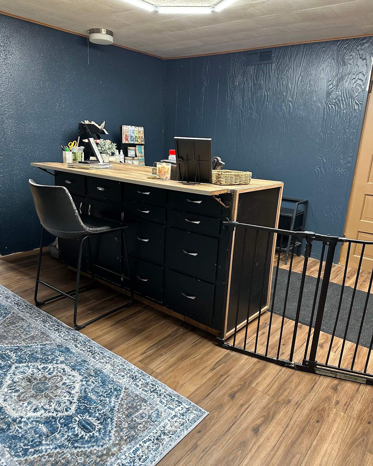 Paisley Pet Salon — photo 1