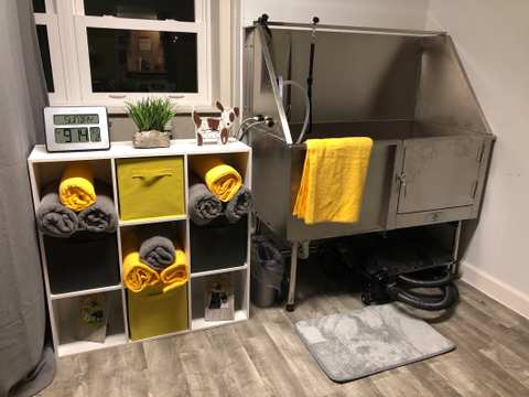 Paisley Pet Salon — photo 3