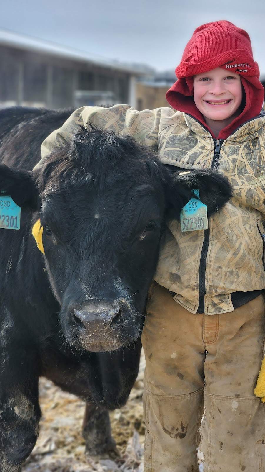 Ramthuns Hickory View Farm — photo 4
