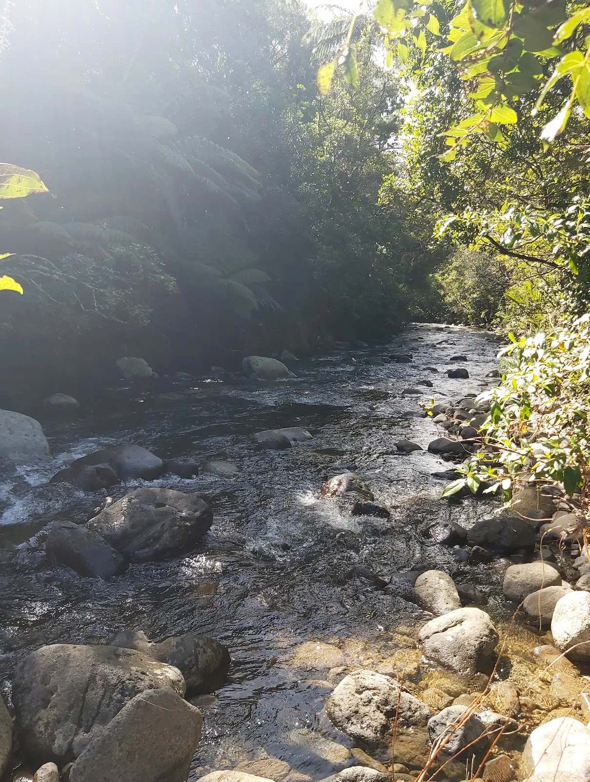 Waitekohe Recreational Park — photo 1