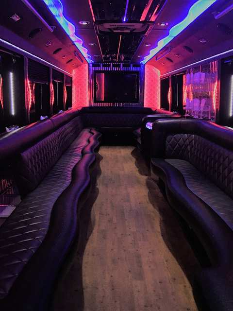 Cruise-A-Palooza Party Bus — photo 3