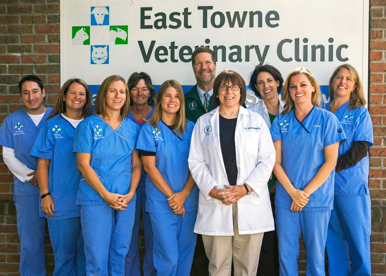 East Towne Veterinary Clinic — photo 1