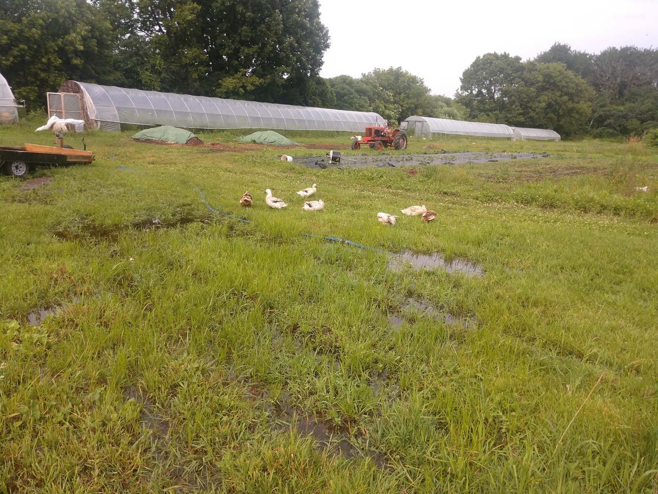 Wellspring Education Center & Organic Farm — photo 5