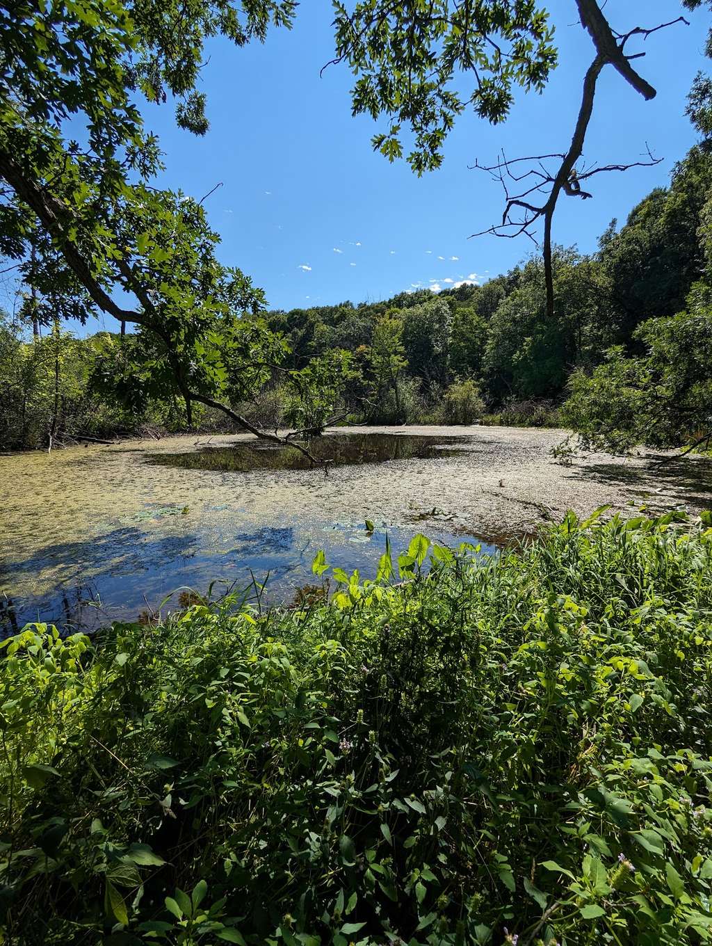 Ridge Run Park West