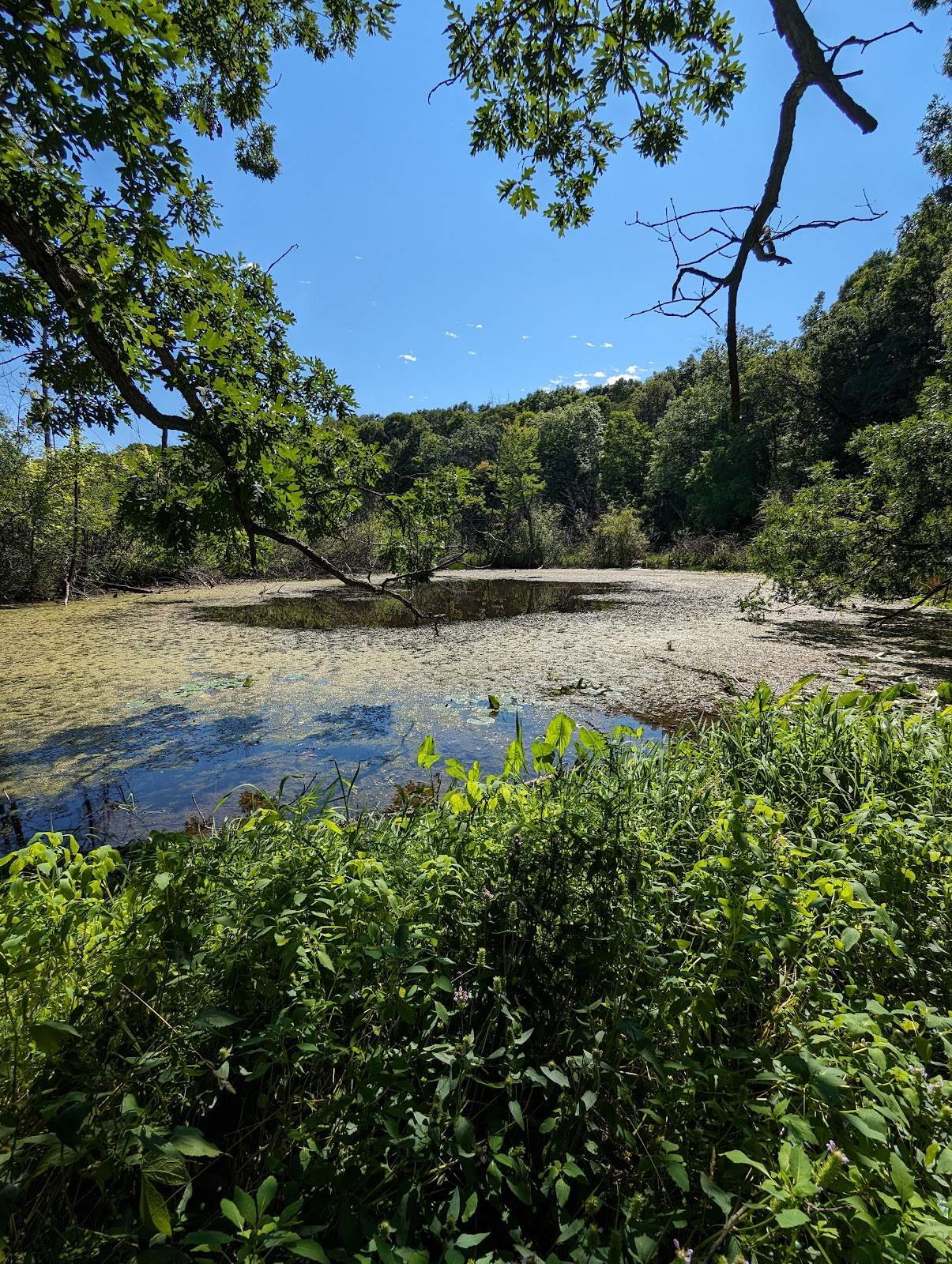 Ridge Run Park West — photo 1