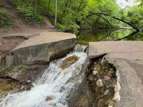 Ridge Run Park West — photo 2
