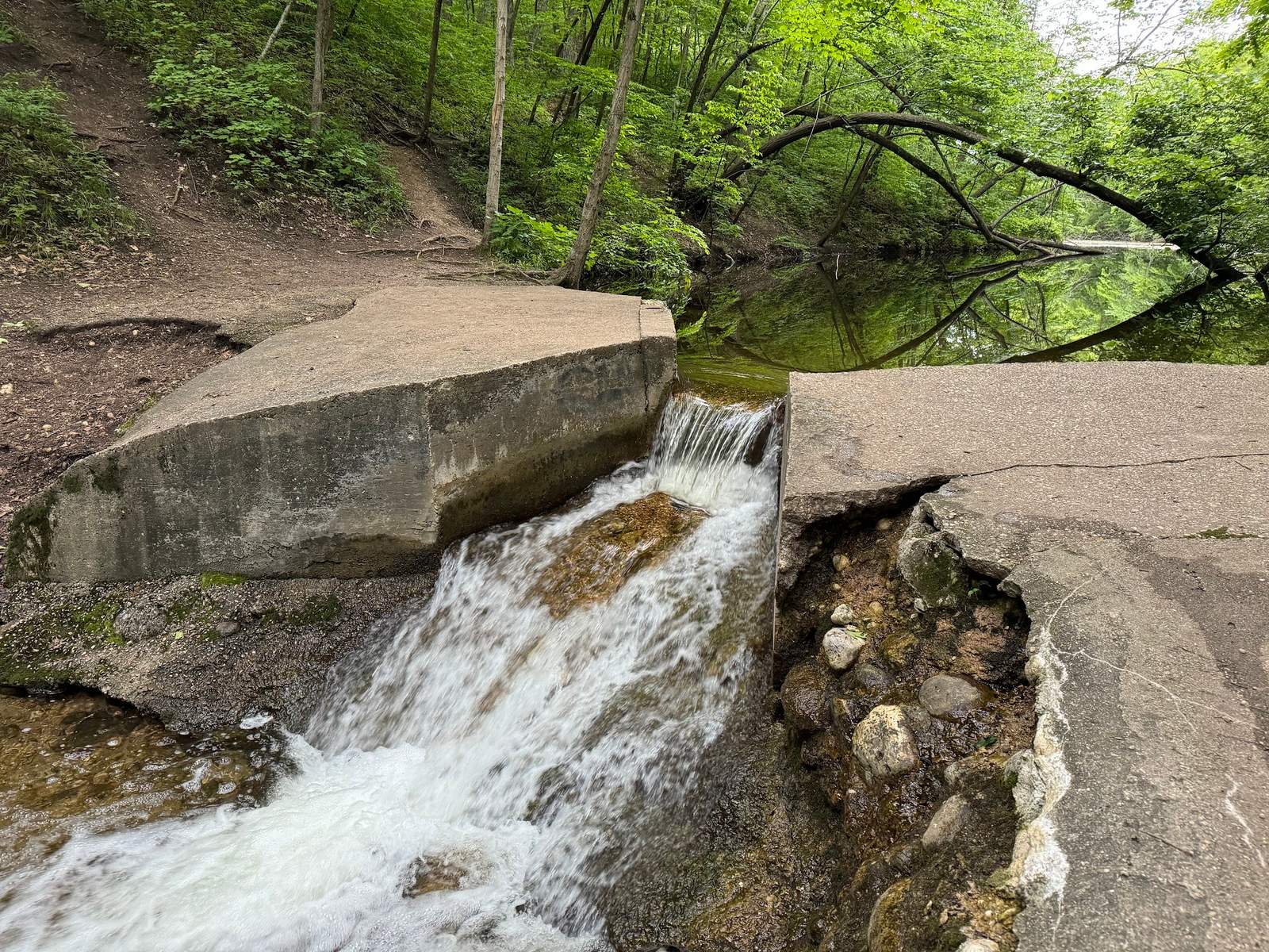 Ridge Run Park West — photo 2