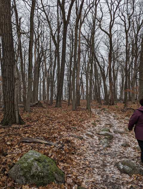 Ridge Run Park West — photo 3