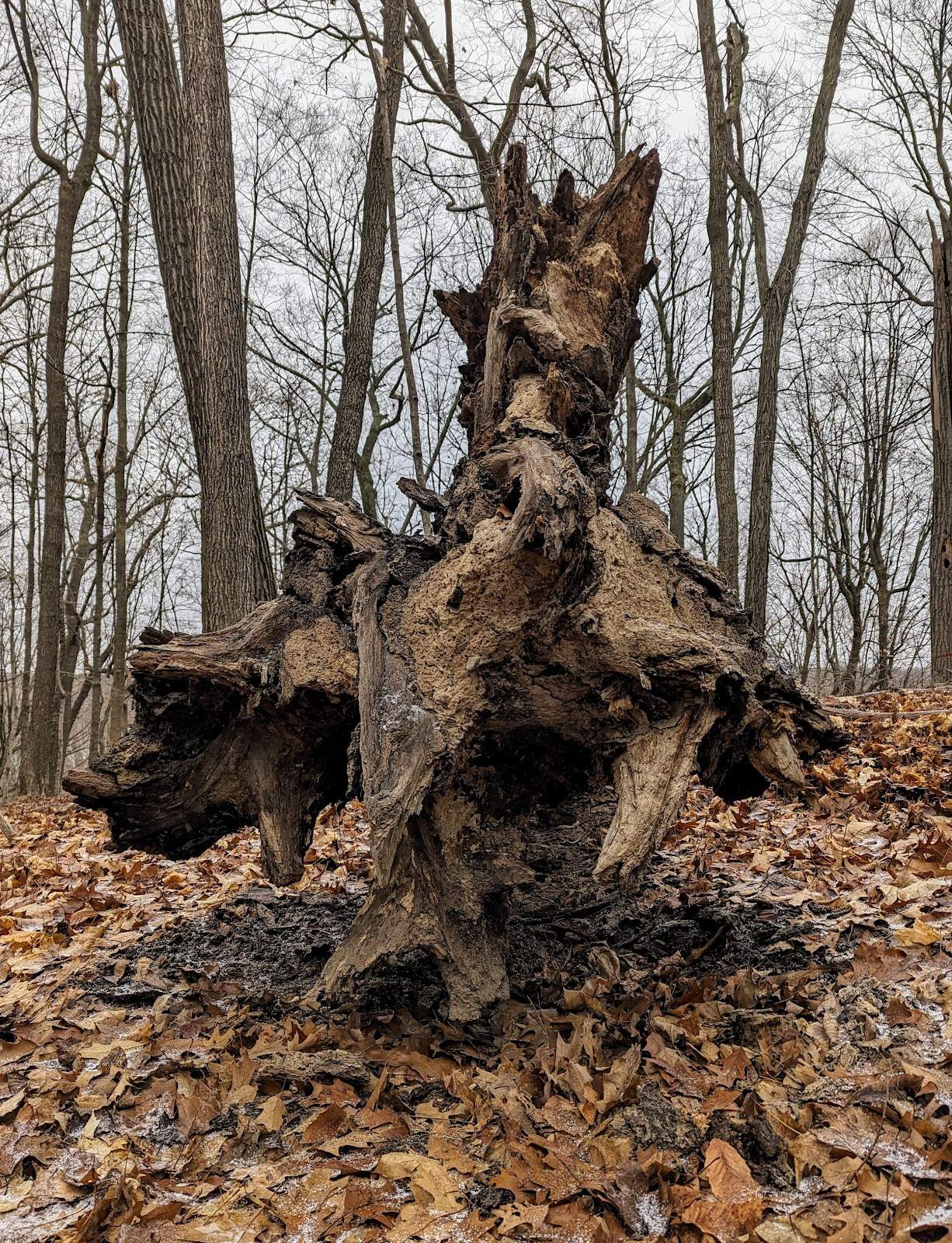 Ridge Run Park West — photo 5