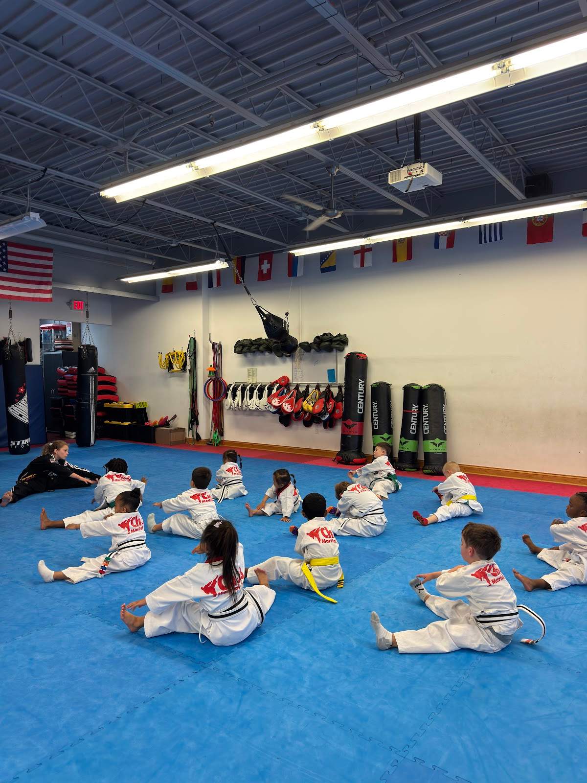Cho's Martial Arts — photo 5