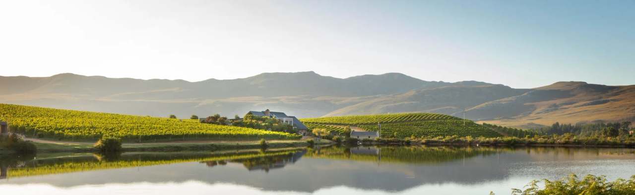 Creation Wines — photo 1