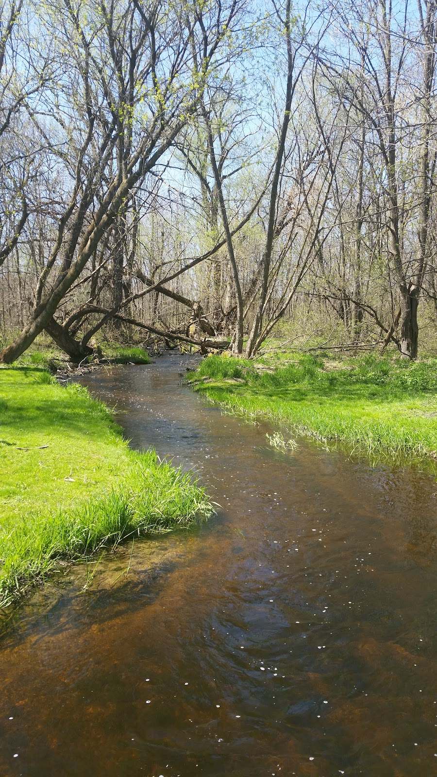 Richfield Nature Park — photo 1
