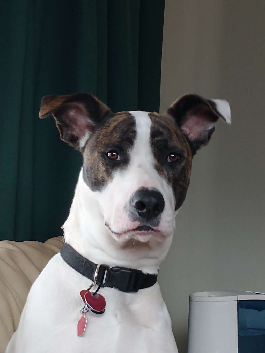 Saukville Veterinary Clinic: Stephani Jennifer DVM